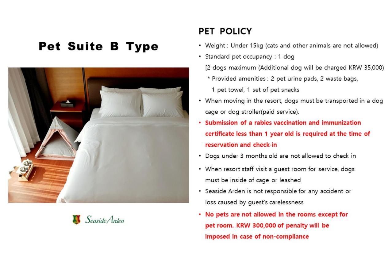 Hotel Seaside Arden à Seogwipo Extérieur photo